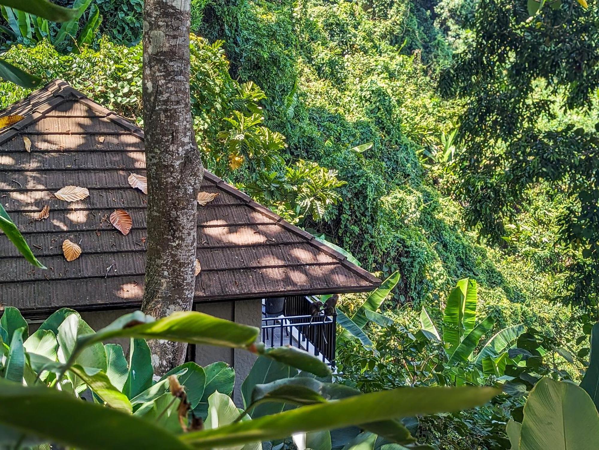 Perch El Nido'S Seaview Villas Overlooking Marimegmeg 外观 照片