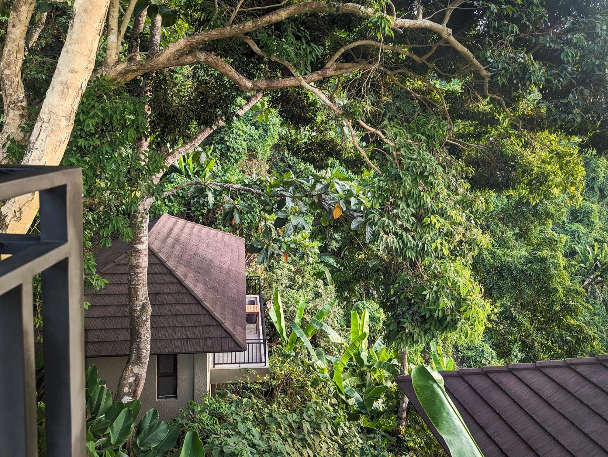 Perch El Nido'S Seaview Villas Overlooking Marimegmeg 外观 照片